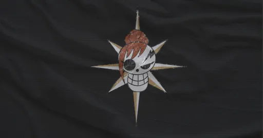 Cougar Pirates Flag.